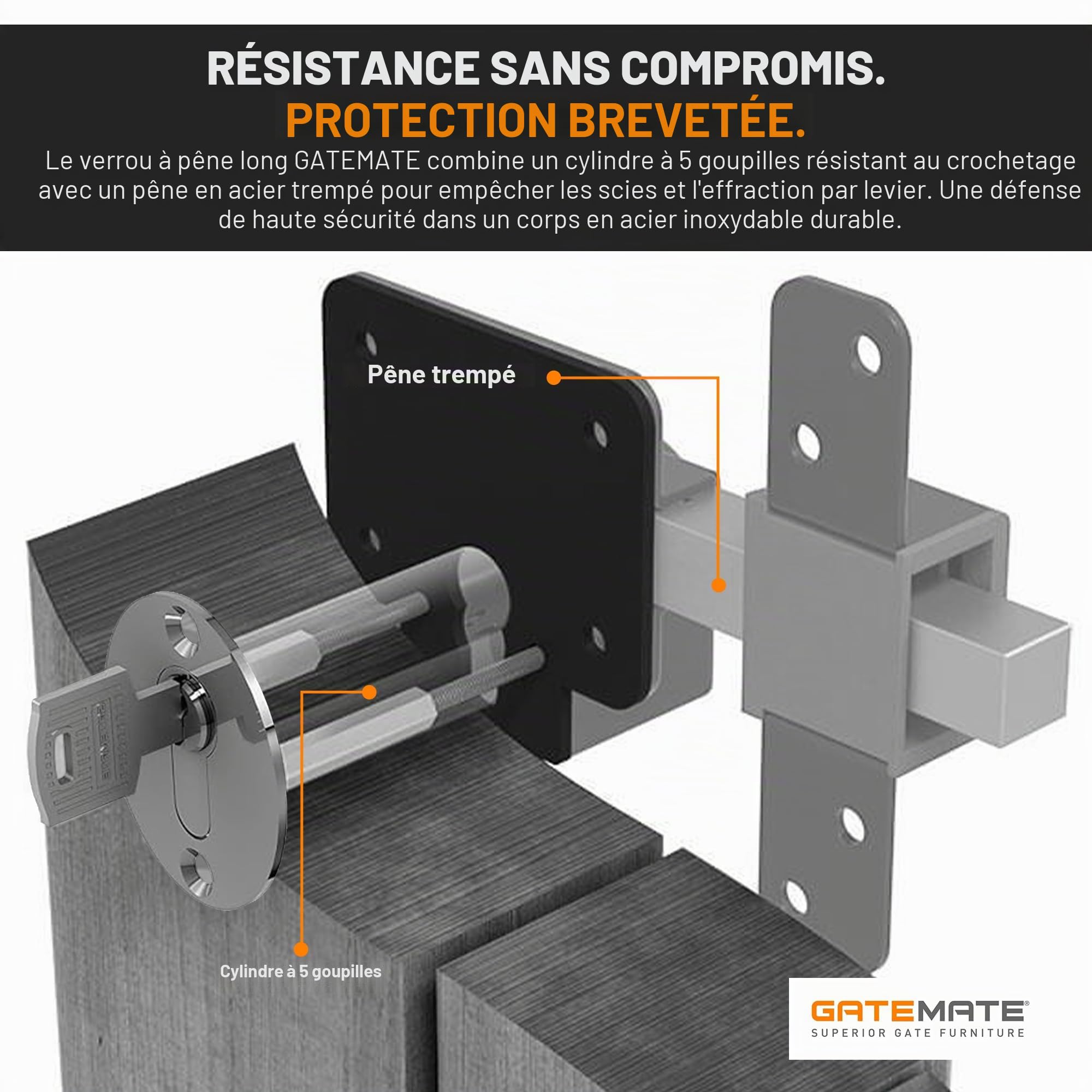 GateMate Serrure de portail à longue portée 1490106, profil européen pour abris de jardin, portails et portes de garage, clés extérieures et intérieures, en acier inoxydable 316, pour portails et