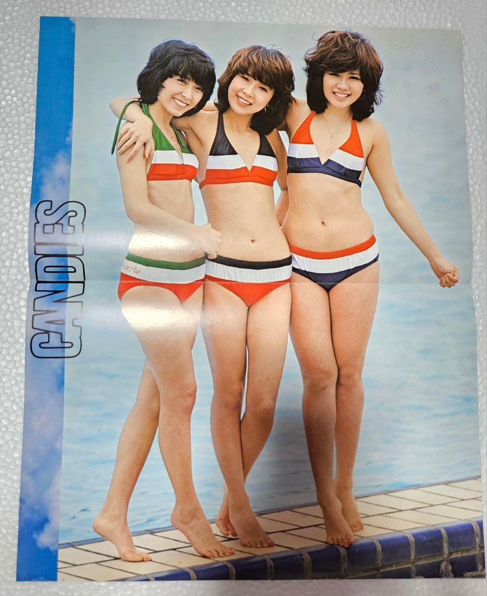 夏目雅子 直筆サイン ポスター 昭和アイドル 水着 【公式通販】
