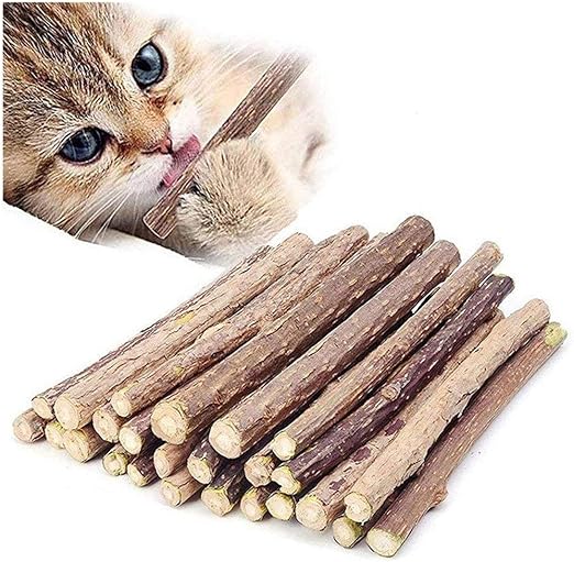 cat dental chew sticks
