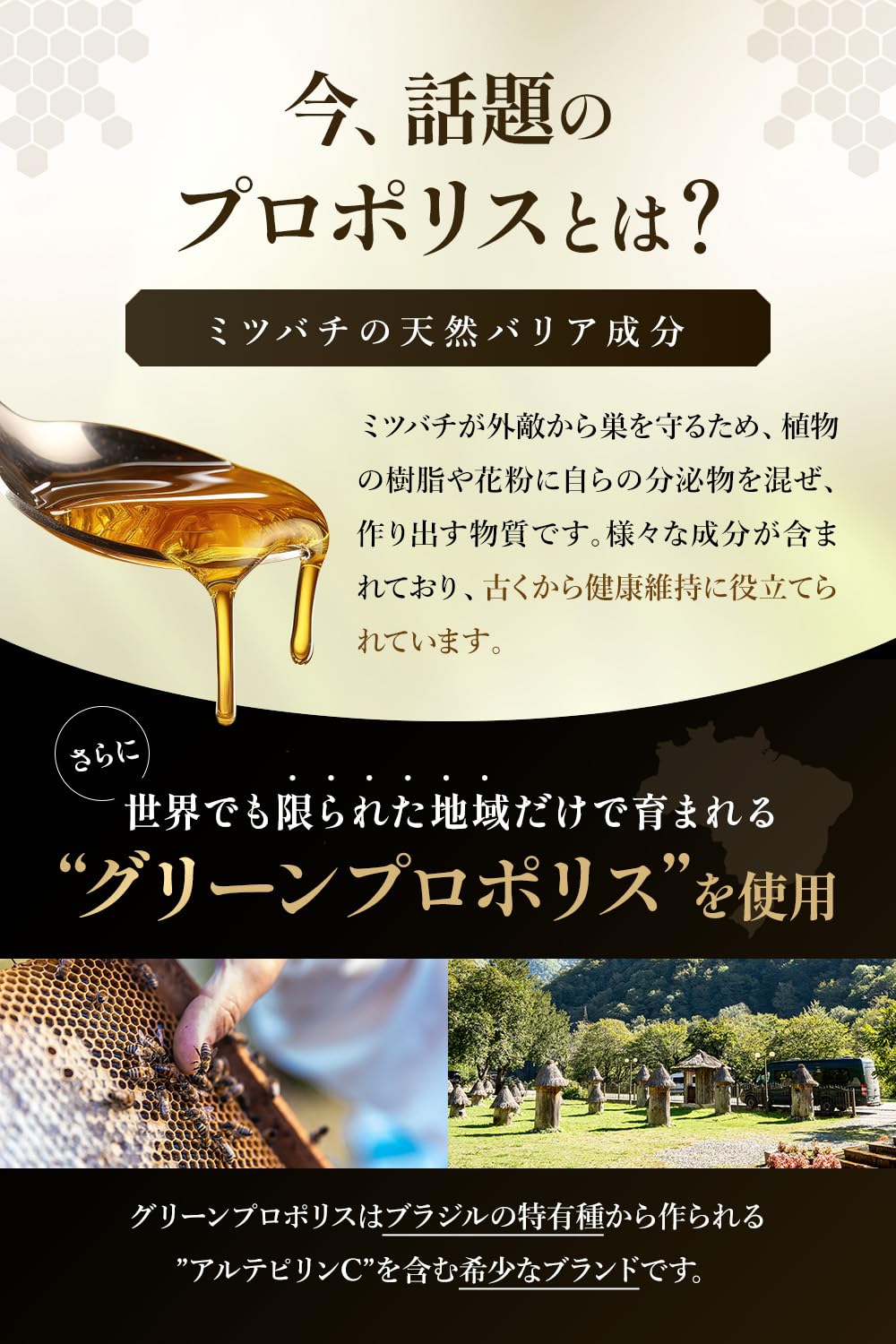 Amazon | 蜂の密プロポリス360 明治薬品 プロポリス 10,800mg