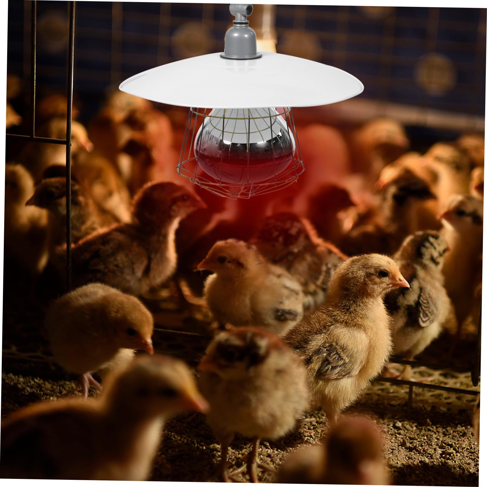 Lampada Riscaldante Colore Casuale Alta Sicurezza e Resistente Coprilampada in Metallo e Alluminio per Bestiame per Gabbie di Animali Domestici e Suinetti
