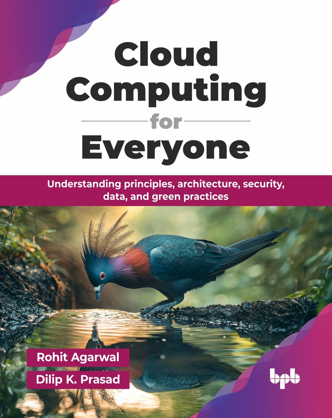 Cloud Computing for Everyone: Understanding principles, architecture, security, data, and green practices (English Edition)