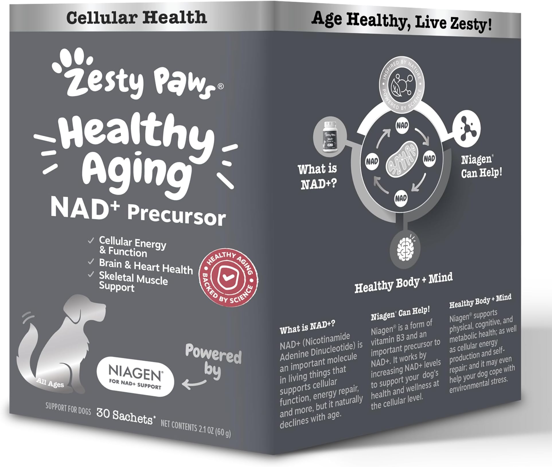 Natural Tapeworm Treatment for Dogs Natural Herbal