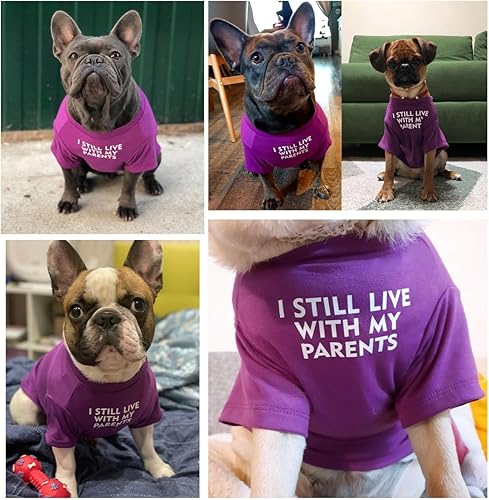 Miniatura 3 de Camisa de Bulldog Francés para Mascotas, Camisetas para Cachorros, Camiseta para Gatos, Trajes Transpirables y Elásticos, Talla Mediana