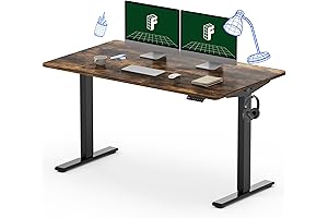 FLEXISPOT EN1 Electric Standing Desk 55 x 28 Inches - The Perfect...