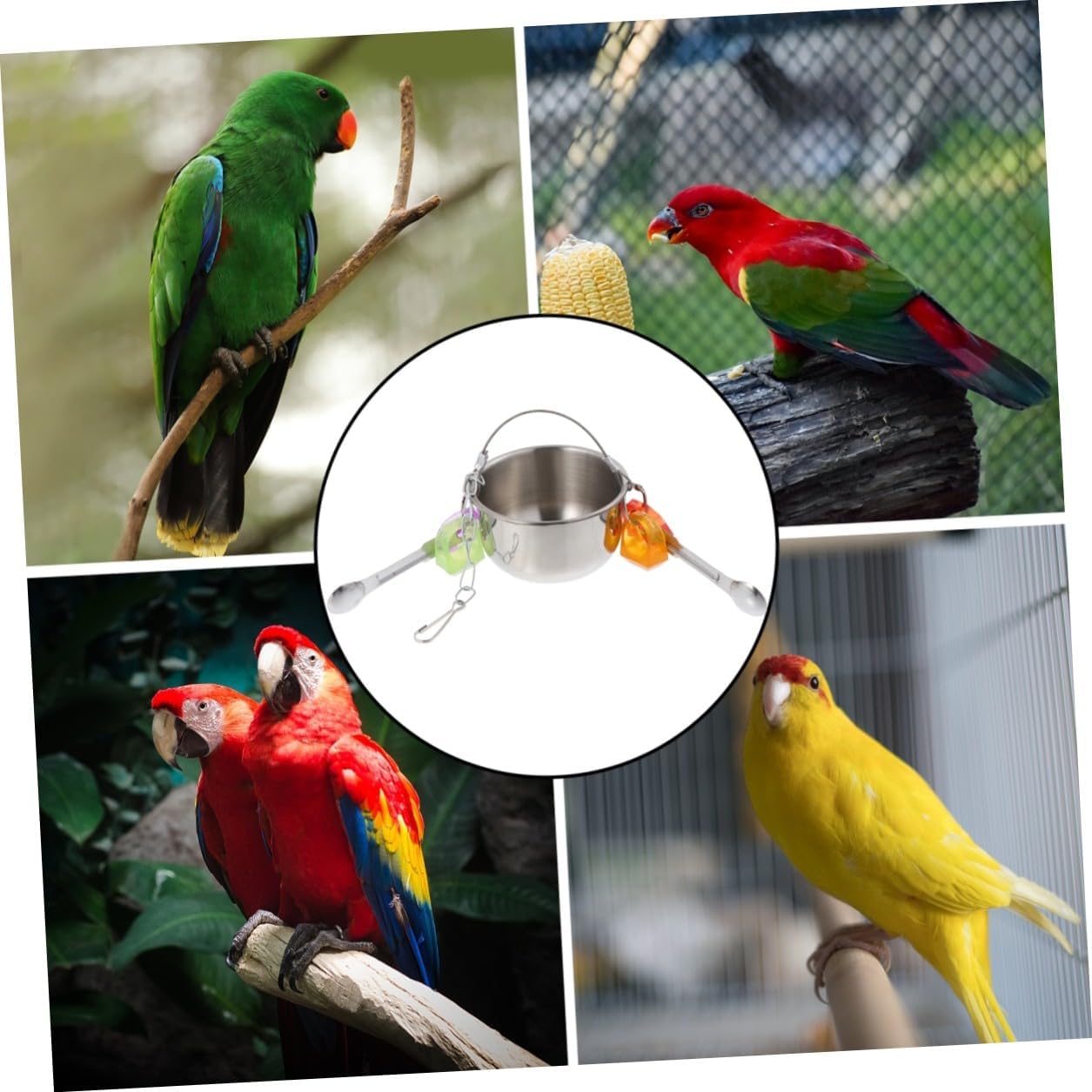 Parrot Hanging Feed Cup Swing Stand with Large Capacity Stainless Steel image 4