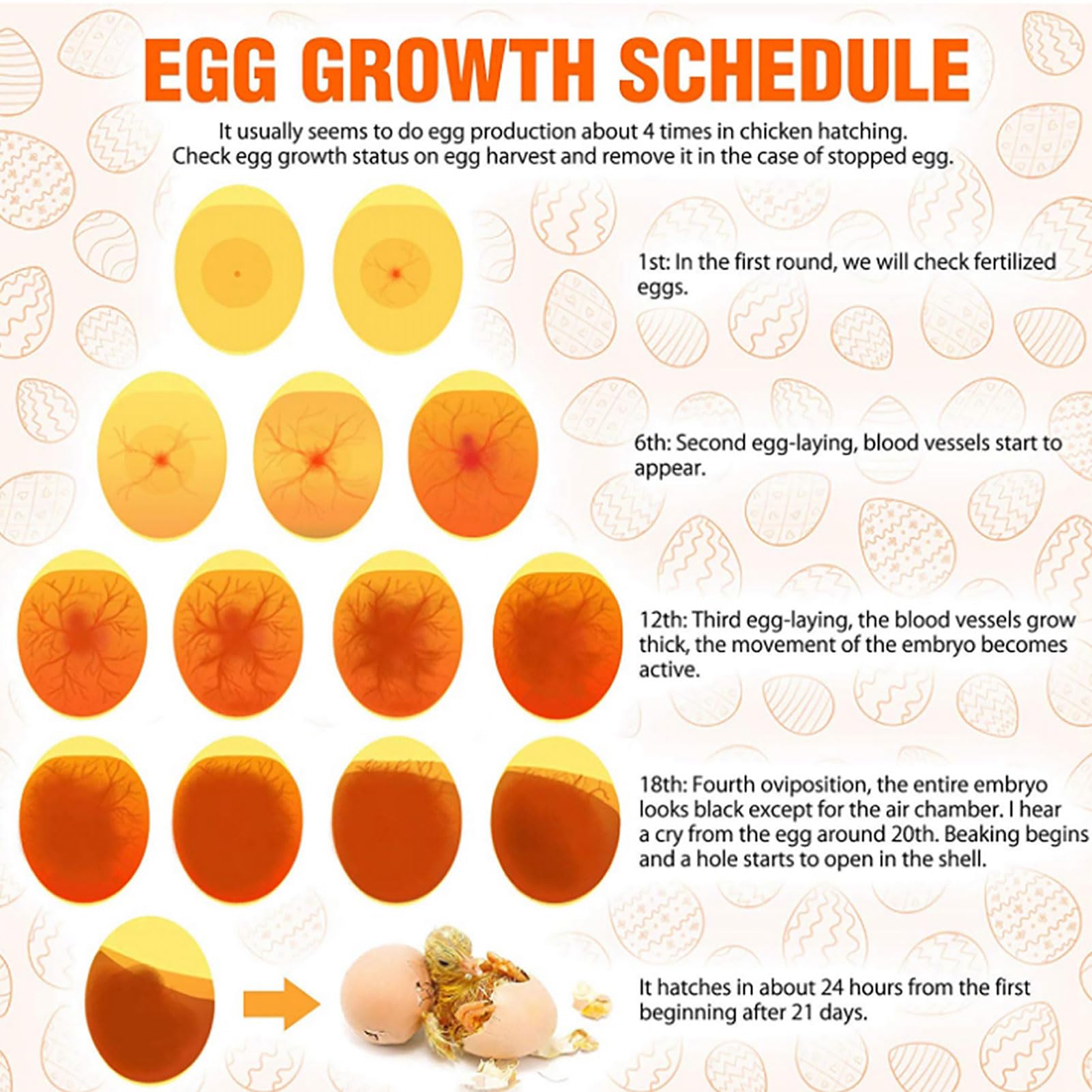 Topyond Egg Candler for Chicken Eggs - Stable USB ABS Cold Light LED Egg Tester for Goose, Chicken, Duck Eggs - Essential Egg Incubator Accessory - Reliable Egg Candling Light