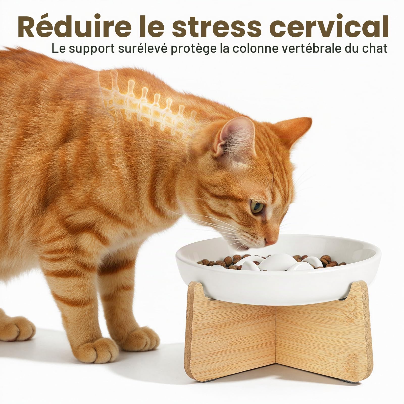 PETTOM Gamelle Anti Glouton Chat Céramique Surélevée avec Bambou Support, Anti Vomissements Gamelle pour Chat Manger Lentement pour Aliment Sec Humide (Blanc, Baleine)