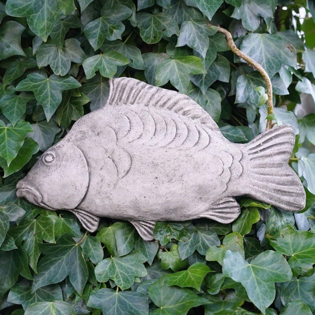 Burgess Home & Garden Grey Mirror Carp Stone Hanging Plaque | Angling Fishing Fish Gift Outdoor Garden Statue