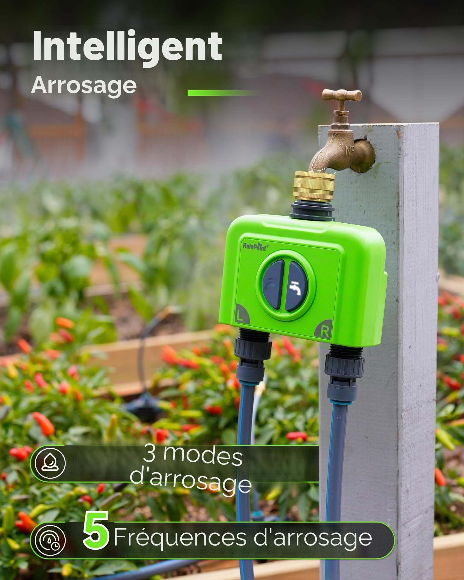 RAINPOINT Programmateur Arrosage WiFi 2 Voies IP65 Minuteur Arrosage Automatique Entrée en Laiton