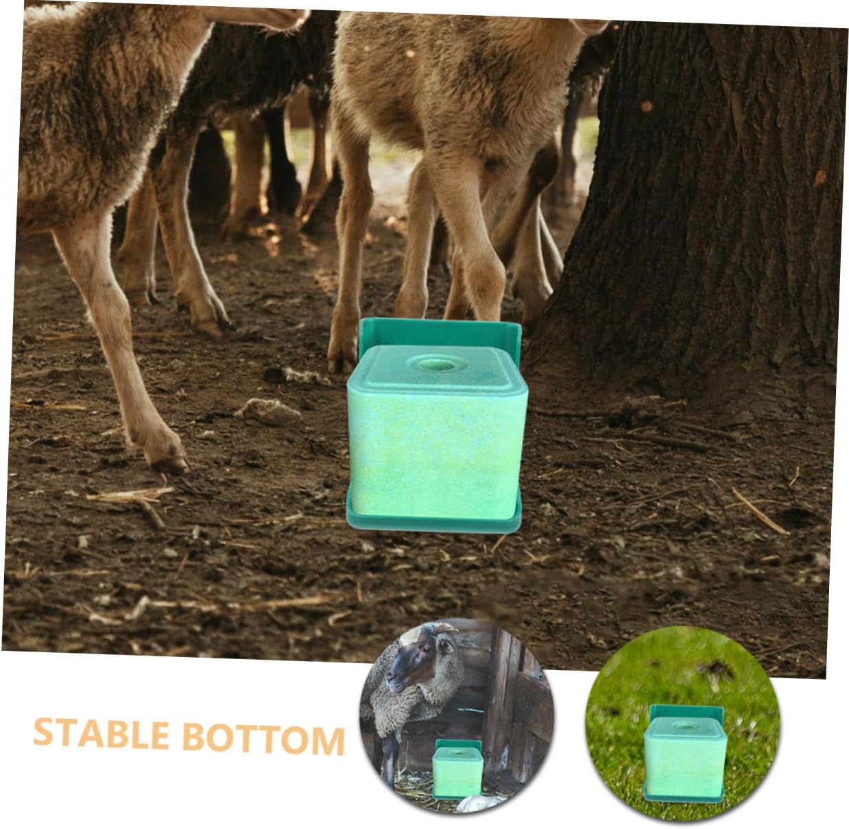 Toyvian 2pcs Livestock Salt Feeding Box Durable Cattle Salt Feeder Compact Sheep Fodder Box for Cattle Sheep Horses Made of for