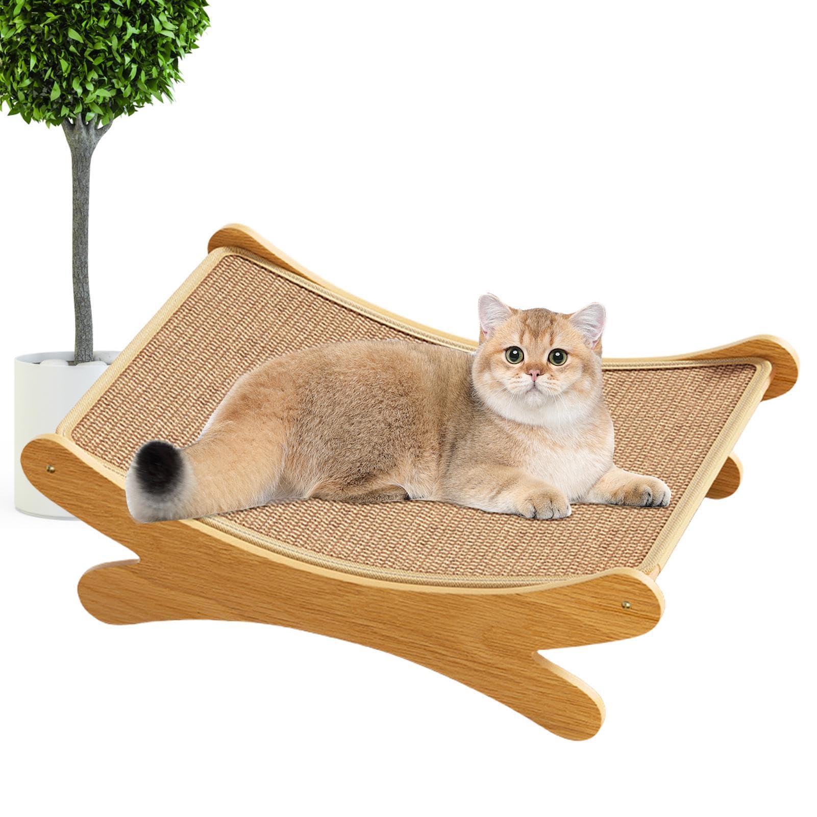 Lit griffoir 2 en 1 pour chat pour protéger les meubles et éduquer les chatons