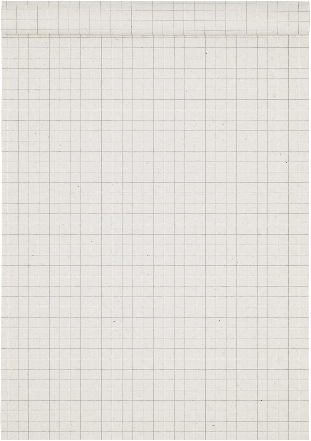 Landre 100050283 DIN A4 Notepad Without Cover Sheet, 50 Perforated Pages of Squared 60 GSM Recycled Paper [Pack of 10] Notepad "Recycling" Without Cover, DIN A5, 50 Pages, Chequered