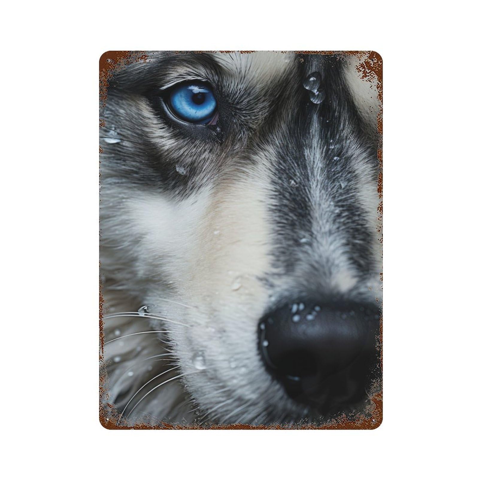 Husky Eyes Decorative Tin Sign 15.7"x11.8", Industrial Home Decor for Garage, Pub Or Kitchen