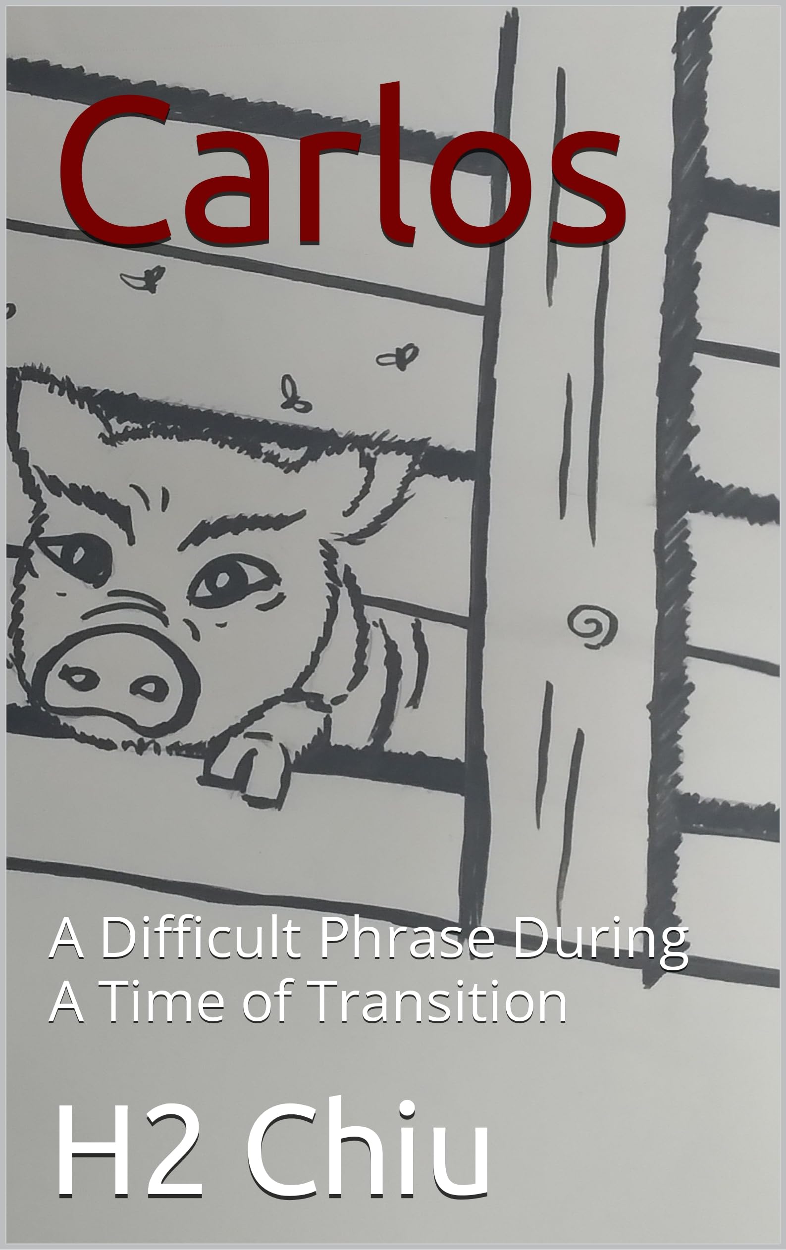 Carlos: A Difficult Phrase During A Time of Transition