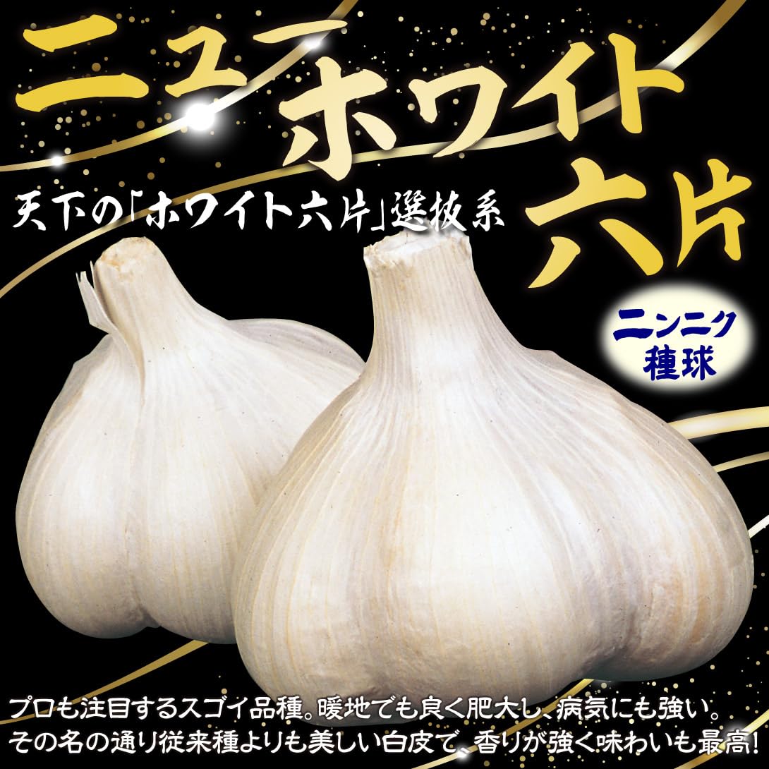Amazon.co.jp: 国華園 ニンニク 種球 ニューホワイト六片 1kg / 暖地