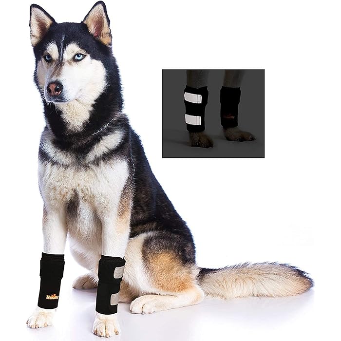 Buy NeoAlly Pair of Front Leg Braces for Dog & Cat Canine Carpal