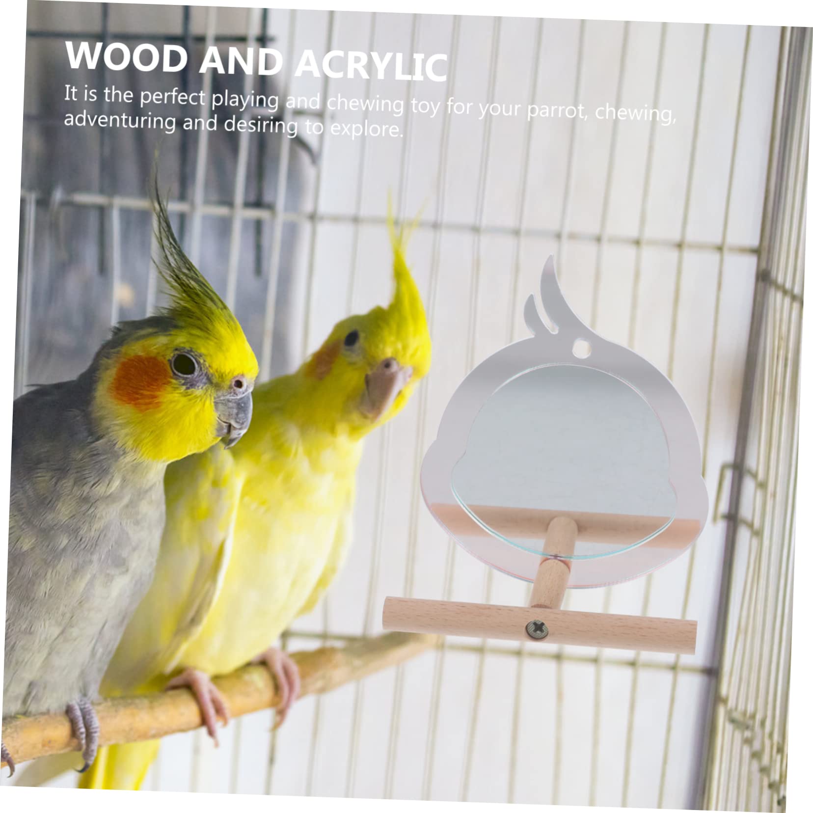 YARNOW 5piezas Perch para Aves Pequeñas Soporte Resistente para Periquitos y Juguete De Descanso y Ejercicio Diseño Chic Accesorio para Jaula De