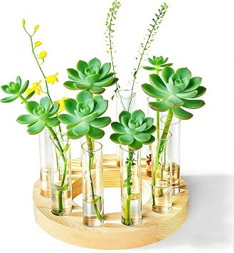 Melphoe Glass Bud Vases Small Flower Vase for Centerpieces Wedding Table Decorations, Home Decor, Propagation Station Plant Terrarium with Wooden Stand, Unique Plant Lover Gifts for Women Beige