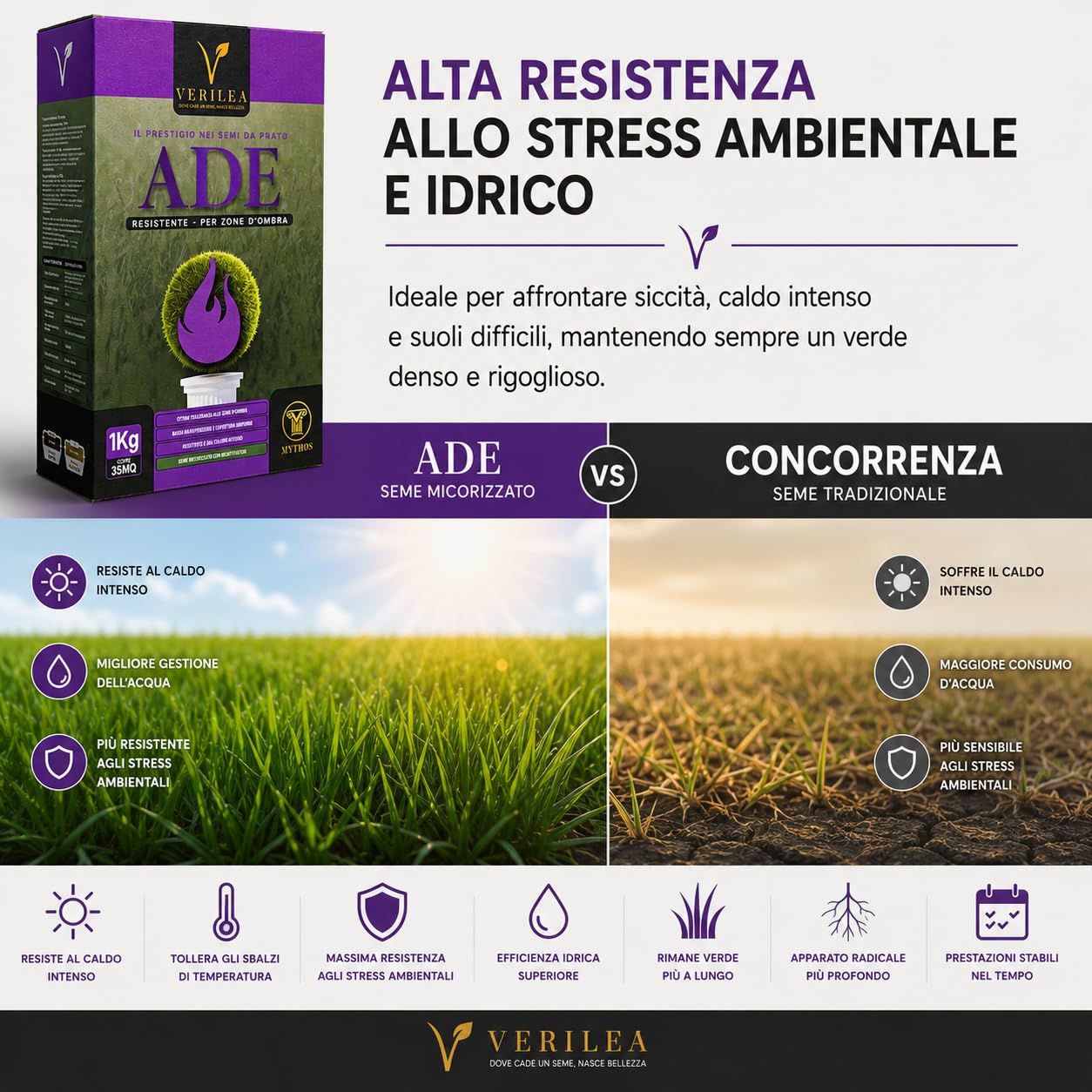 VERILEA ADE - Semi da Prato micorizzati per Zone d'Ombra, esteticamente superiore e resistenza elevata a siccità e calpestio. (10Kg per 350mq)