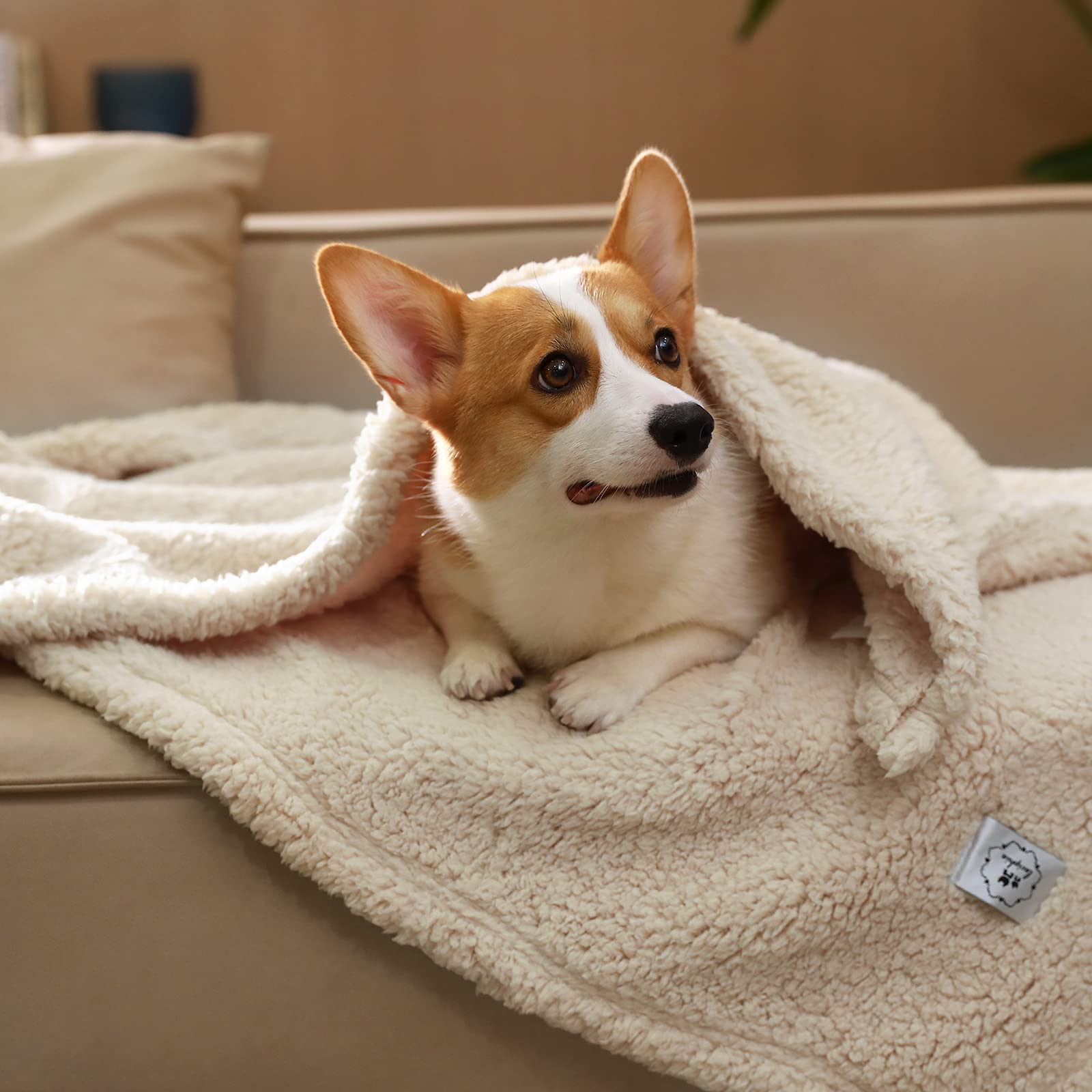 3 Hundedecken Aus Weichem Flanell-Fleece – Grau, 76,2x50,8 Cm – Für Hunde, Katzen & Kleine Haustiere