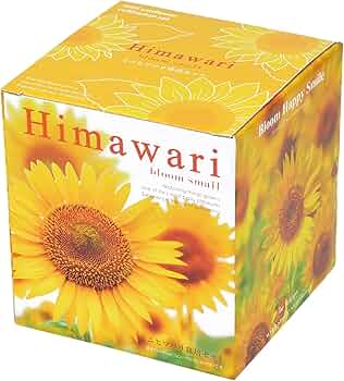 ひまわり出品 71WcaYDcVML._AC_UF350,