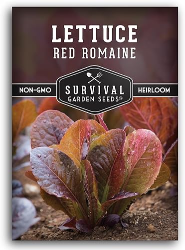 Semilla de lechuga romana roja para plantar, 1 paquete con instrucciones para plantar y cultivar lechuga de hoja roja en tu huerto, variedad de