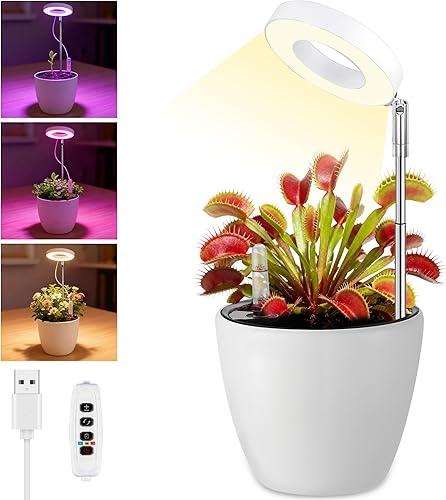 Venus - Maceta de terrario atrapamoscas con luz LED de crecimiento y ventilación de aire, mini kit de maceta de ecosistema de escritorio para