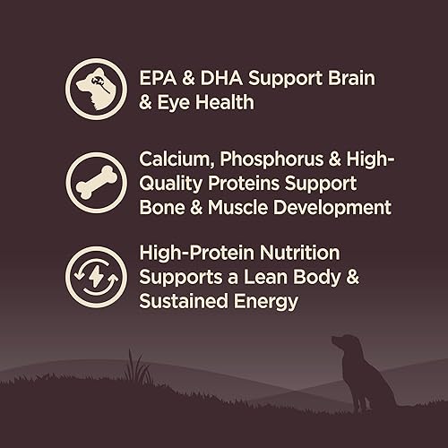 Vista 23 de Comida seca para perro sin granos Wellness Core Natural