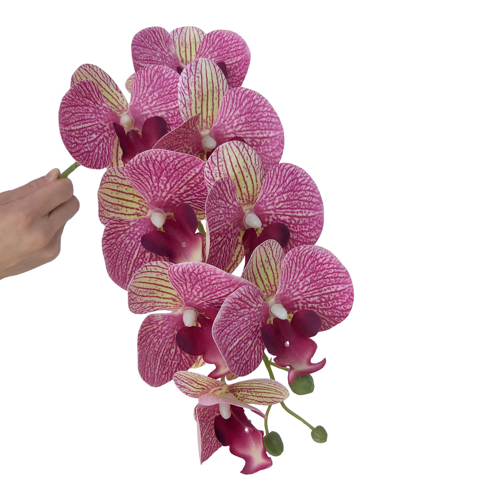 FagusHome 81.3 cm künstliche Phalaenopsis-Blumen, 4 Stück mit 2 Bündeln, Orchideenblumen, Stielpflanzen, Schmetterlinge - Image 4