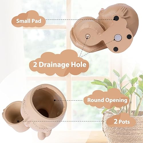 Miniatura 3 de Macetas faciales para plantas de interior y exterior, bonitas macetas para flores suculentas con orificio de drenaje, ideas de regalo ideales (dama