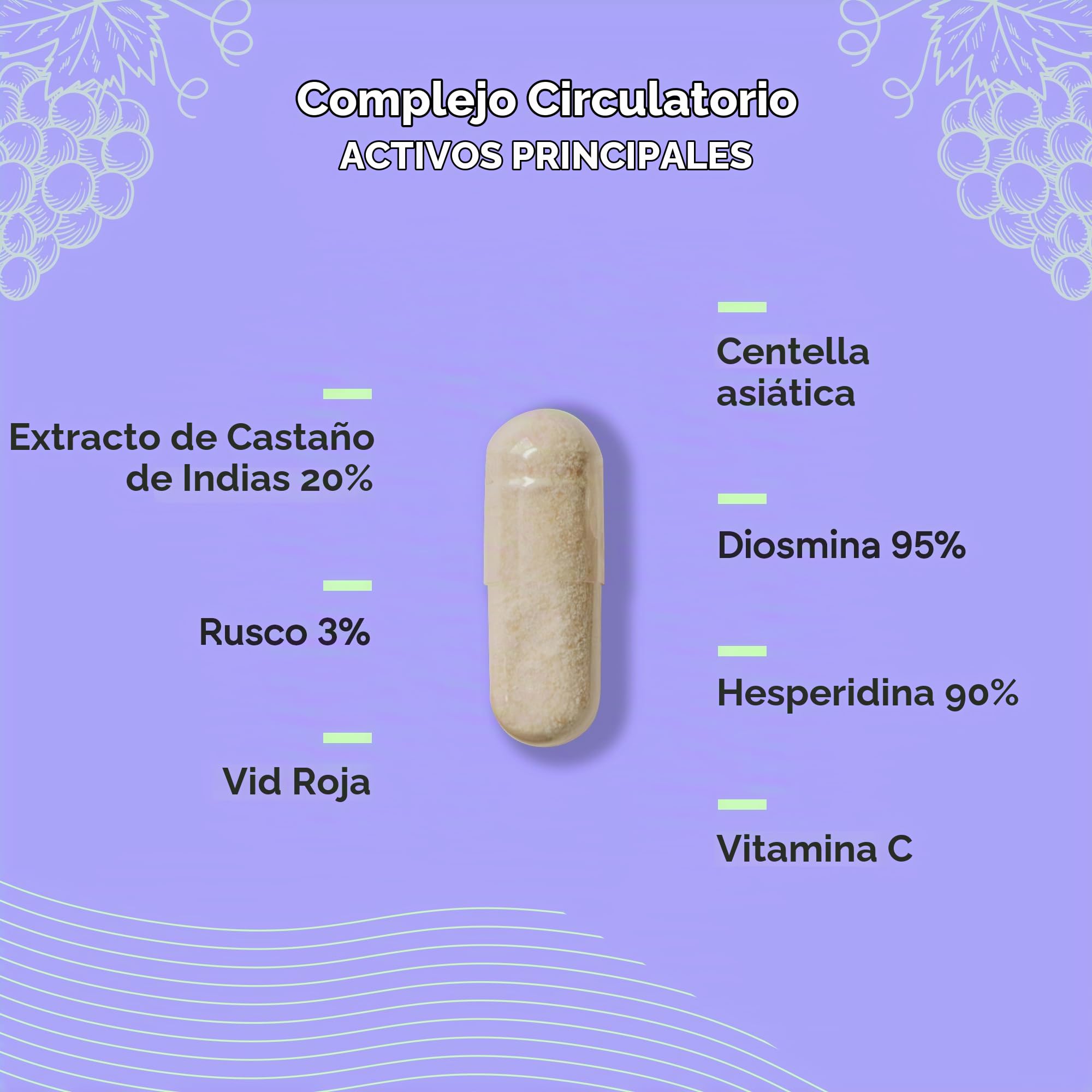 Circulación Complex 1330mg - Diosmina Hesperidina Vid Roja - Circulación Piernas Pesadas - Castaño Indias Centella Asiática Rusco Vitamina C - 60 Cápsulas Nutralie (Paquete de 2)