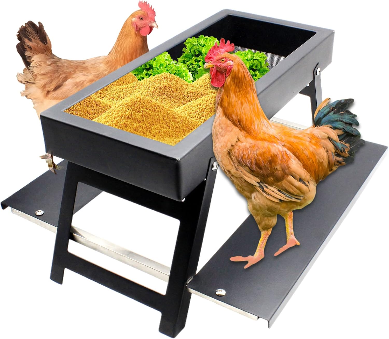 Amazon.com: GIFANK Stainless Steel Chicken Feeder Picnic Table No Waste ...