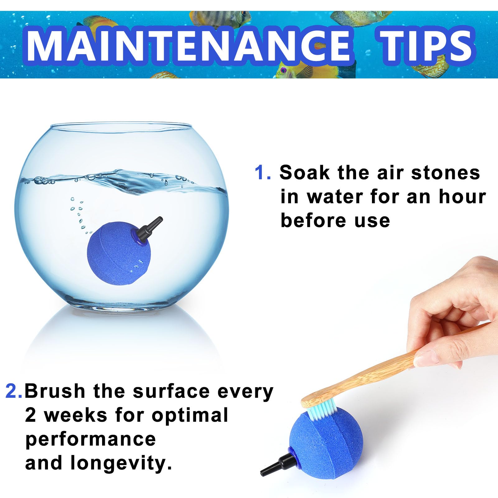 Therwen 24 Stück 5,1 cm Luftstein Kugelform Aquarium Luftsteine Fisch Tank Bubbler Stein Dunkelblau Bubble Stone Sauerstoff Diffusor Aquarium Luftpumpe Zubehör für Aquarium Fisch Tank Hydrokultur