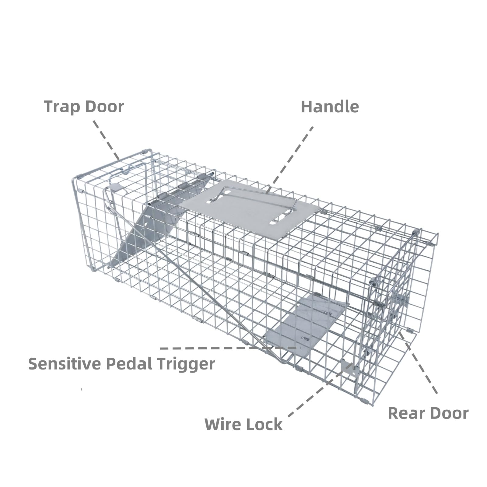Piège de Capture Animaux 62x19x22 cm - Cage Trappe Pliable en Fil de Fer Galvanisé avec Poignée Piège - pour Ratons Laveurs, Martres et Chats - Installation Facile et sans Danger pour Animaux