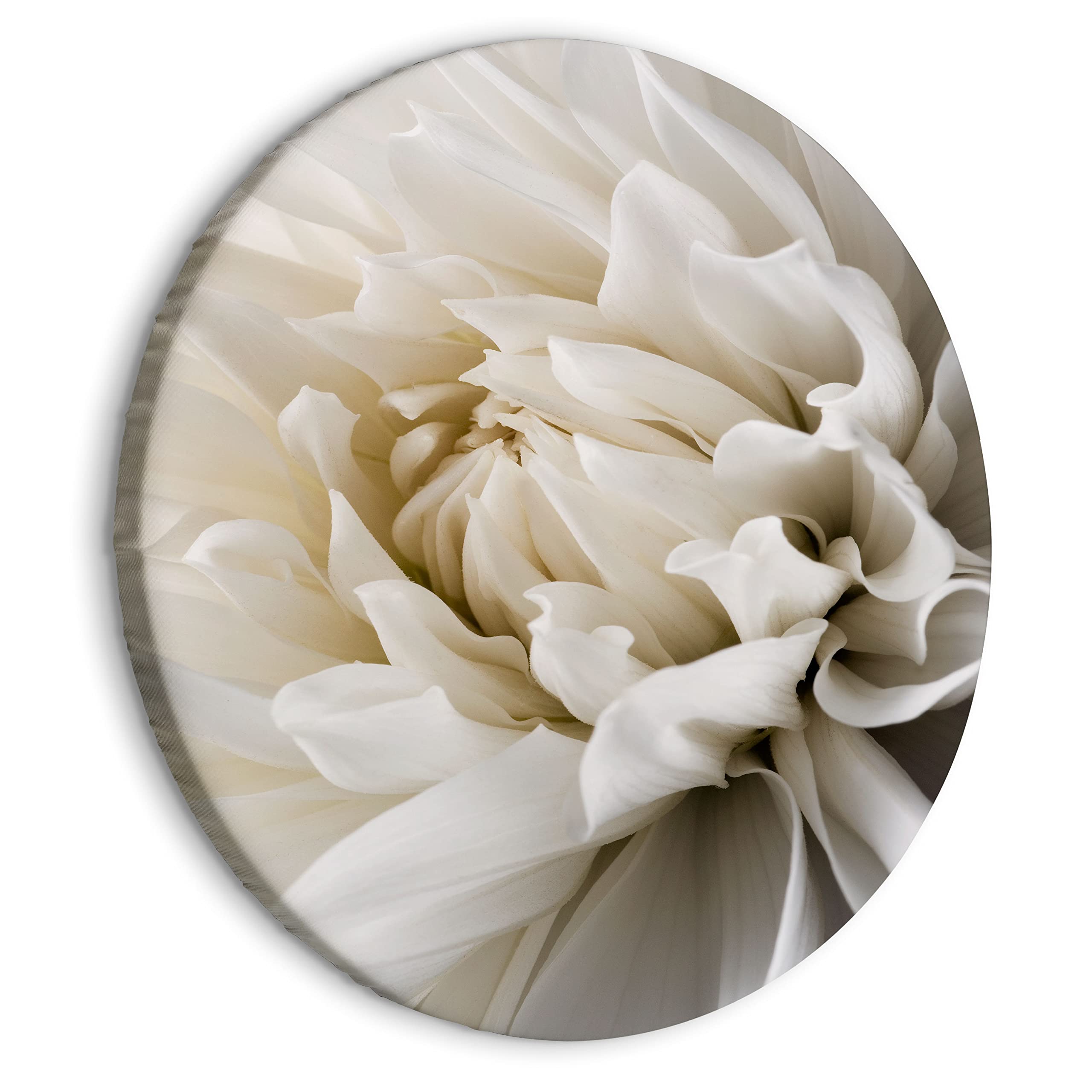 murando Cuadro Redondo en Lienzo Blanco Flores 60x60 cm Impresión de 1 parte Material Impresión Artística Imagen Gráfica Decoracion de Pared Naturaleza planta Panorama b-B-0112-bc-a