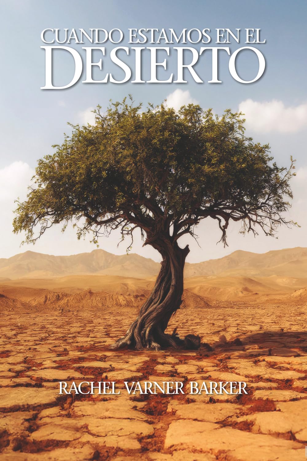 Cuando estamos en el desierto