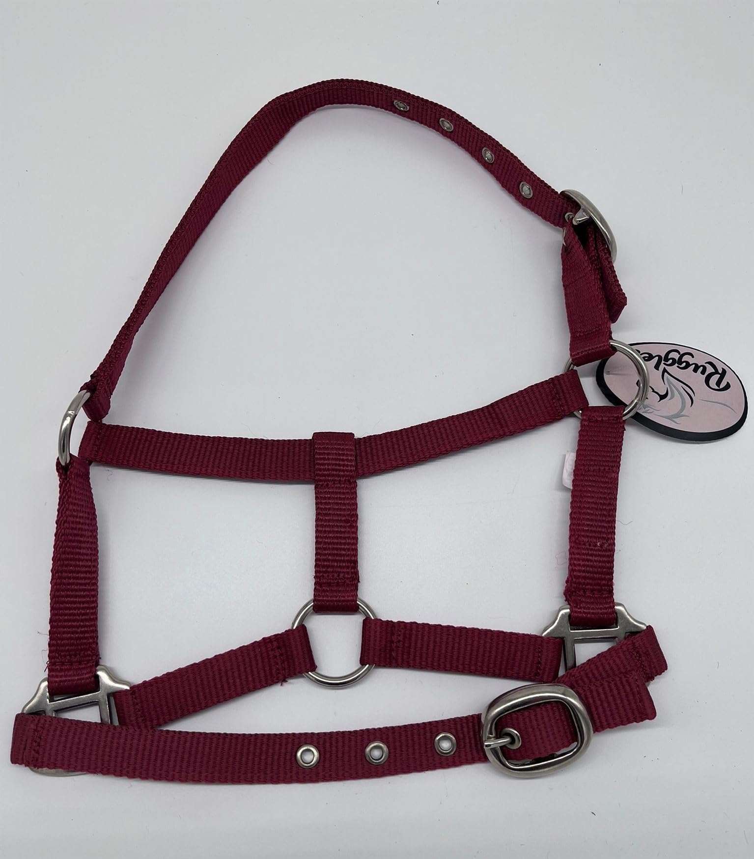 Ruggles Head Collar for Shetland Pony and Miniature Horses | Durable and Adjustable | Ideal for everyday use (Maroon, Shetland)