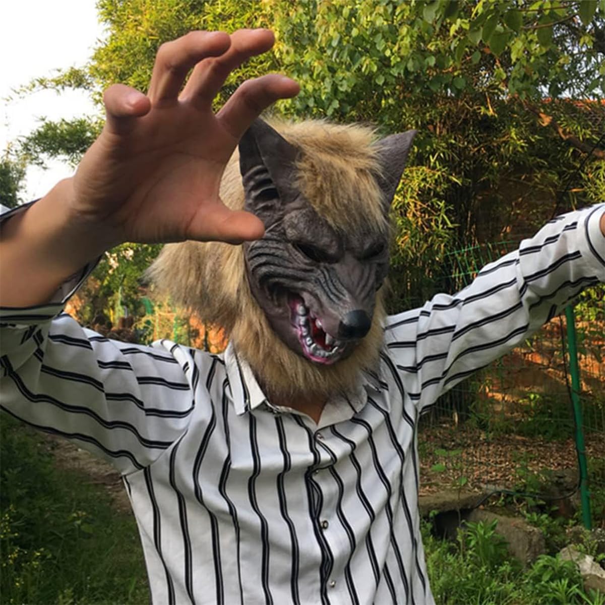 Wolf Head Mask Maschera da Lupo e Guanti da Artiglio Full Face Werewolf Maschera Halloween Horror Festume