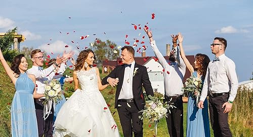 Miniatura 3 de Pétalos artificiales Simplicity, 1000 pétalos de rosas separados, no tejidos, decoración de bodas, fiestas