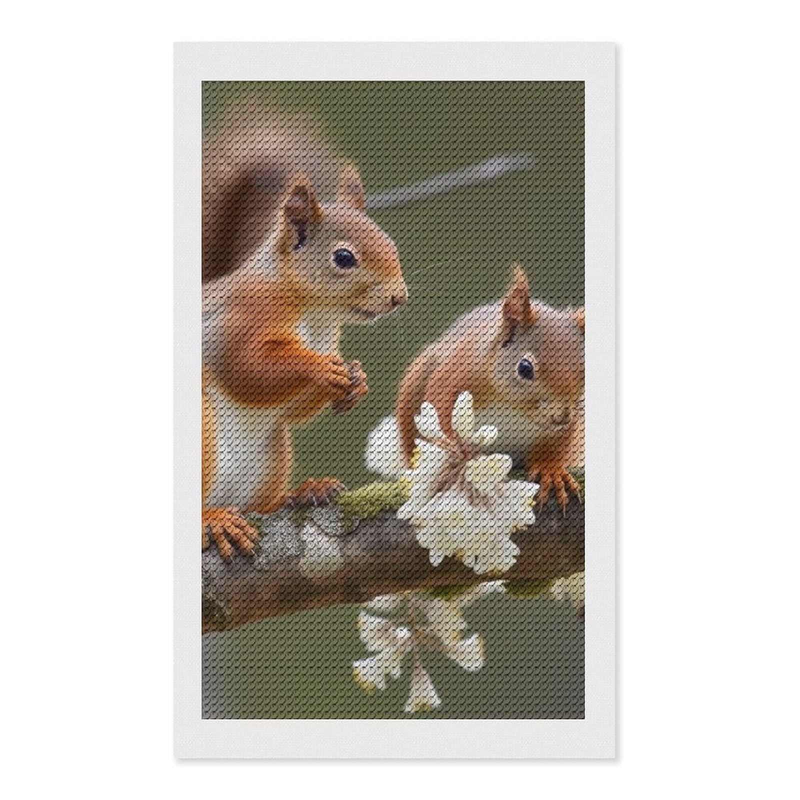 Squirrels Diamond Art Kits for Adults, DIY 5D Diamonds Painting Kits for Beginner, Round Full Drill Diamond Dots Painting, Diamonds Pictures Gem Art and Crafts Wall Decor 12"x20"