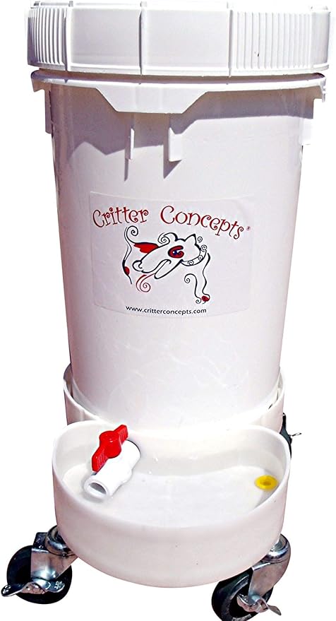 western beaded dog collars