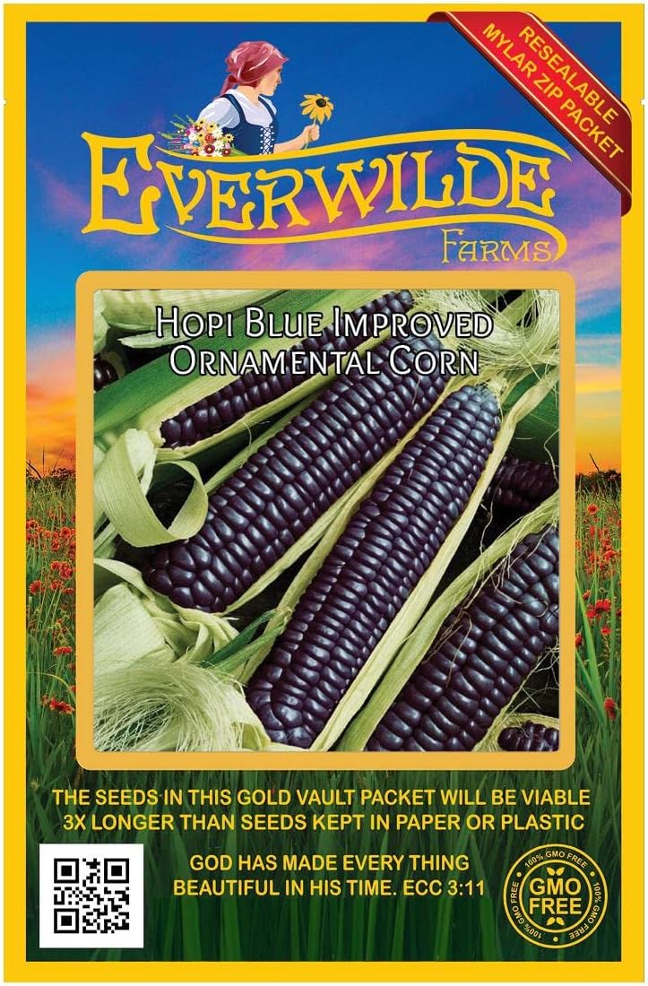 Everwilde Farms - 1 Lb Hopi Blue Improved Ornamental Corn Seeds - Gold Vault