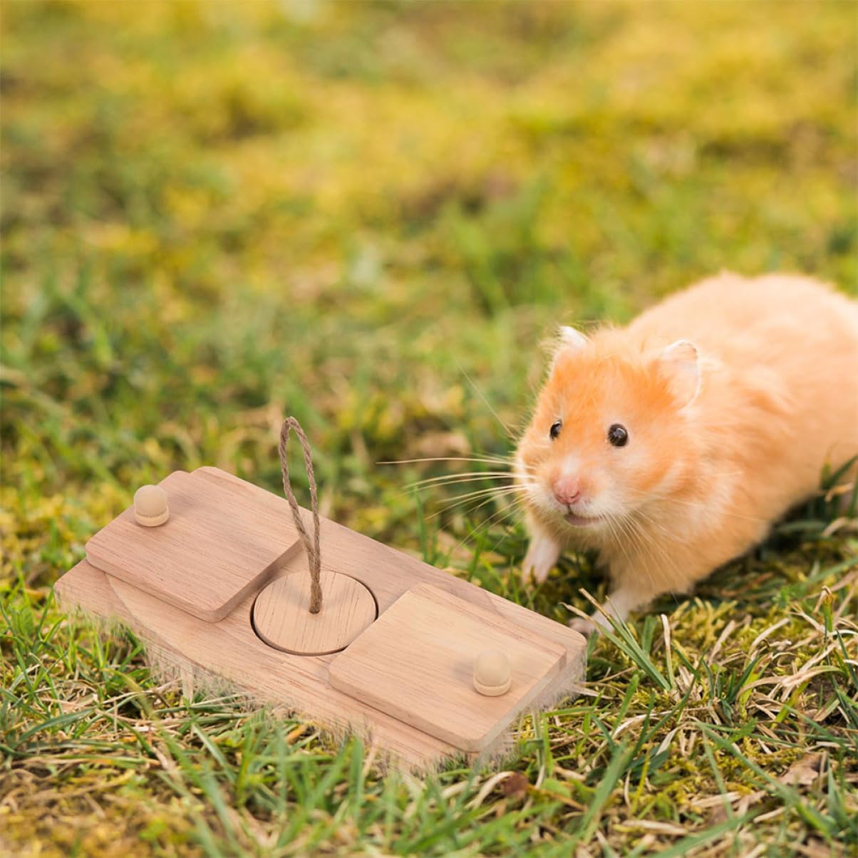 Milisten 2 Pièces Jouet de Découverte de Nourriture en Bois, pour Hamster