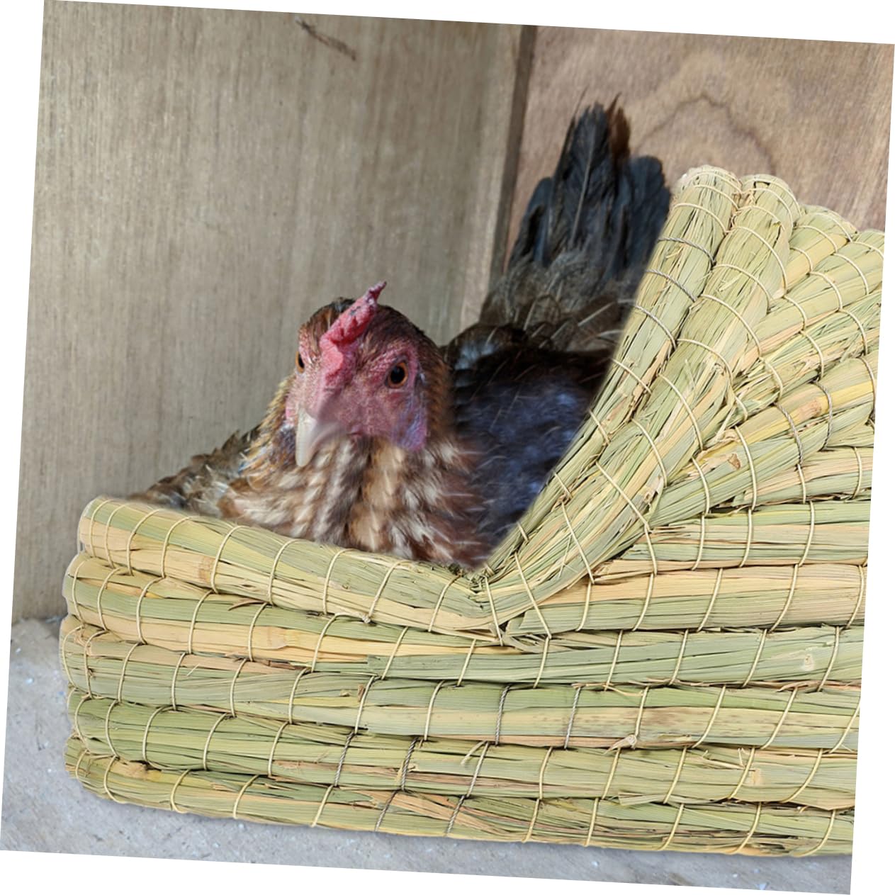 Paglia Nido Intrecciato per Galline 2 Pezzi a Forma di Ciabatta