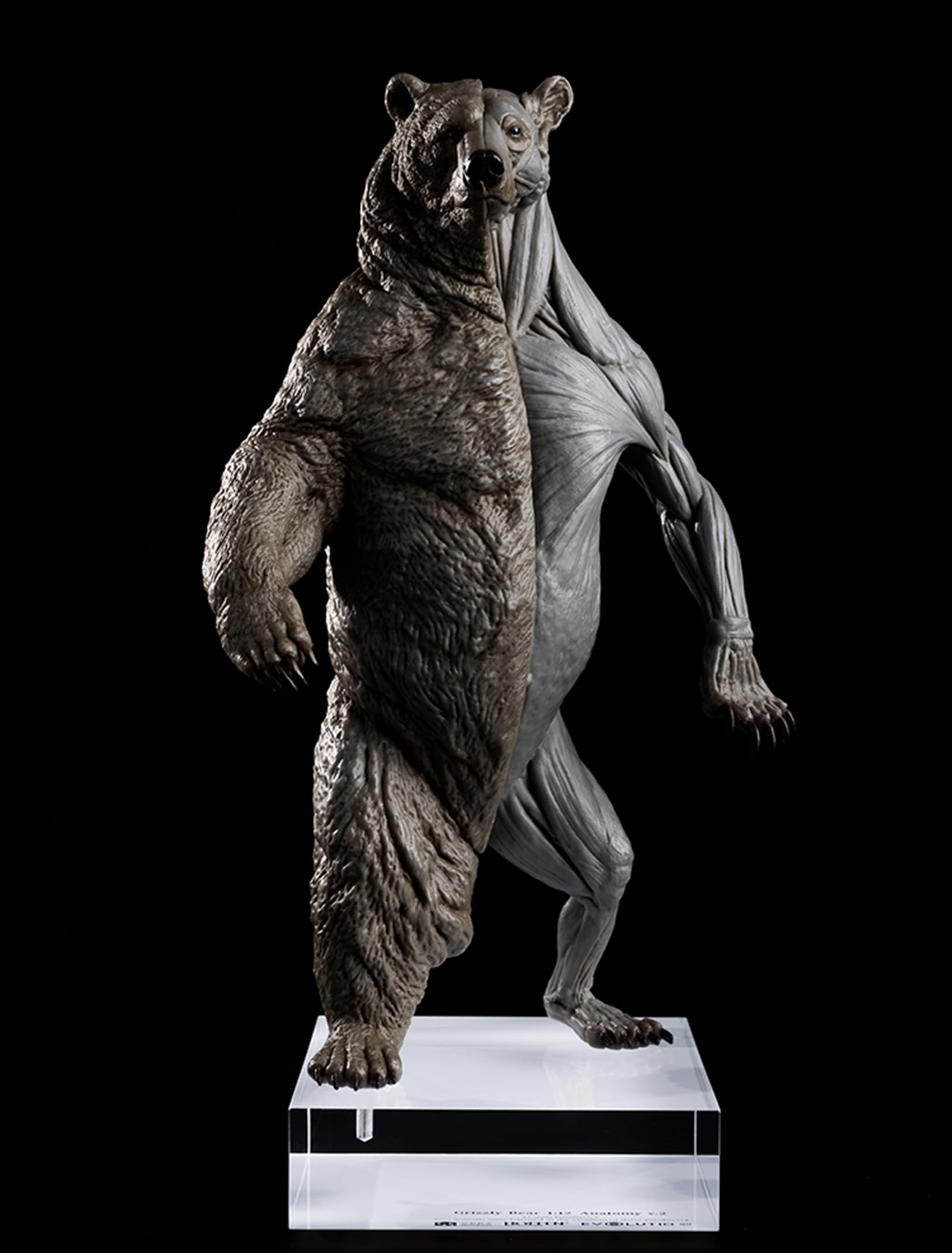 Amazon.co.jp: BACALYSO | EVO 1/12 サイズ クマ フィギュア 29cm級