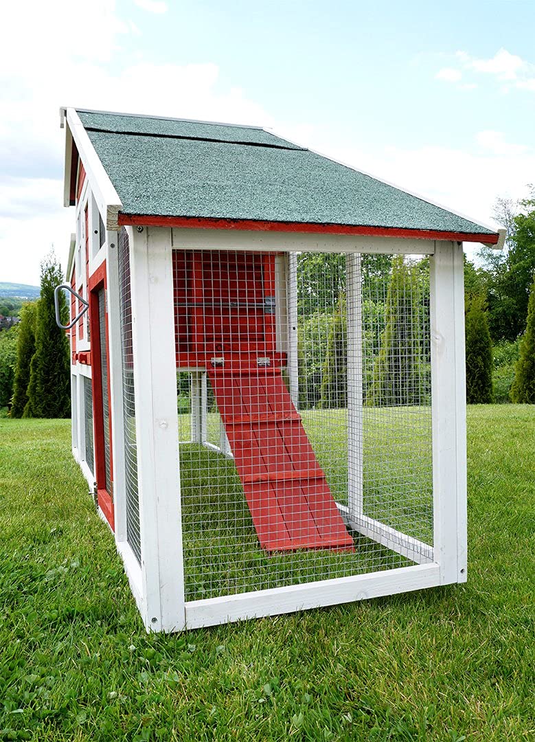 Miweba my animal Poulailler MH-32 XXL avec pondoir - Bois de pin - Résistant à l'hiver - Enclos à Deux Niveaux - Nichoir - Maison pour Poules - Volière pour Poules - Cage à Poules