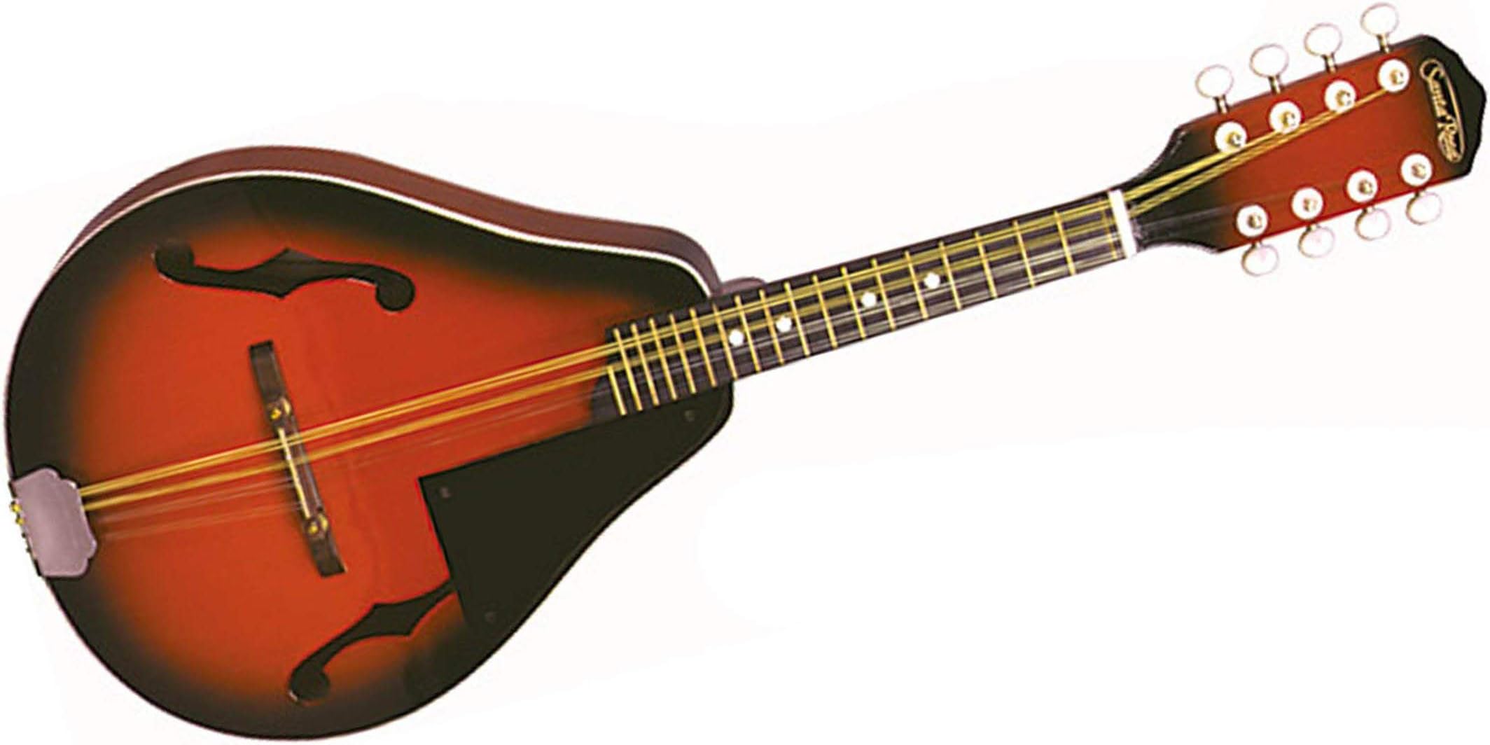 Deep Arch Top Mandolin, 8-String A-Style, Right Handed (MAND21)