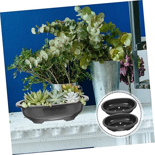 Miniatura 3 de FUNOMOCYA 2 macetas ovaladas de plástico, macetas transpirables para suculentas, cactus, bonsáis, plantas de interior, maceta reutilizable, macetas