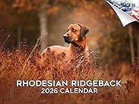 Vista 161 de Razas de Perros 2017